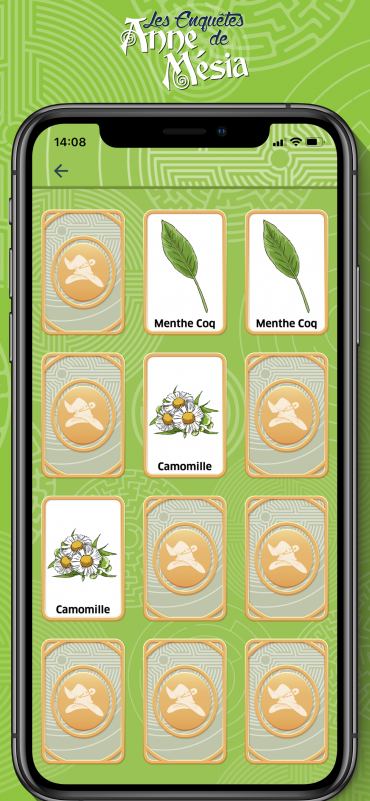 Les enquêtes de Anne Mésia