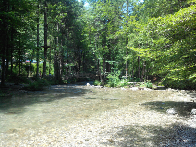 rives du Brevon à Bellevaux