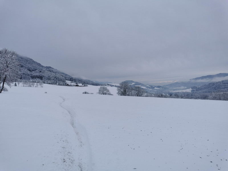 Espace ludique : Balade boule de neige Espace ludique : Balade boule de neige