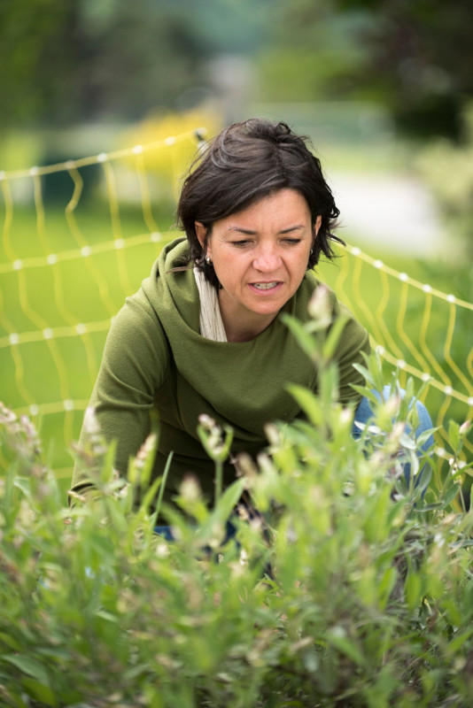 The Magic Pot_Habère-Poche