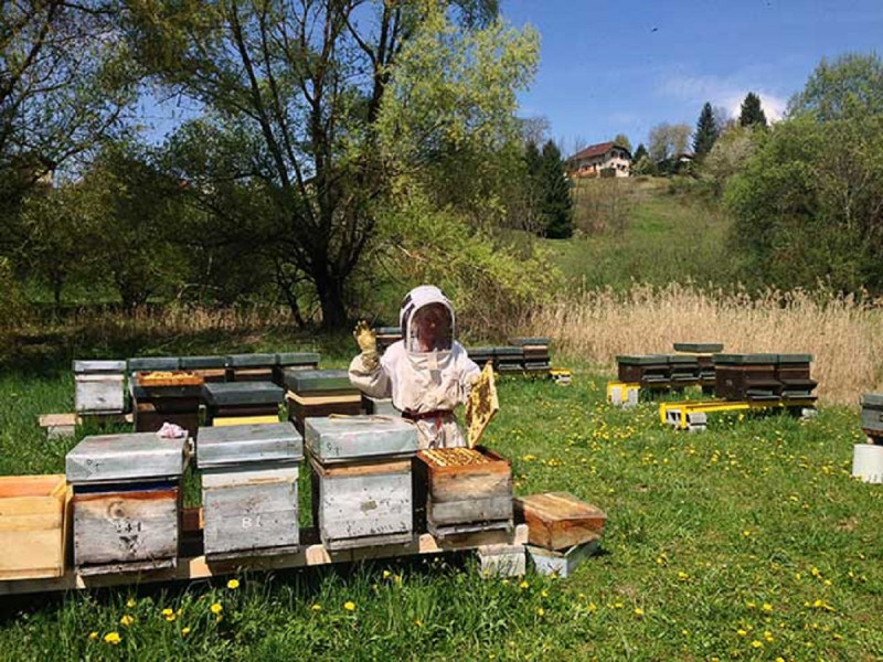 Les Ruchers de Nade Les Ruchers de Nade