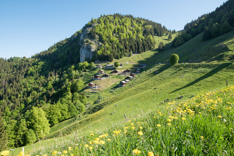 Alpage de Tréchauffé