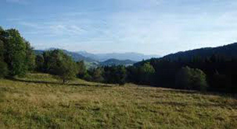 Paturage de l'Herpettaz - © OT Alpes du Léman Paturage de l'Herpettaz