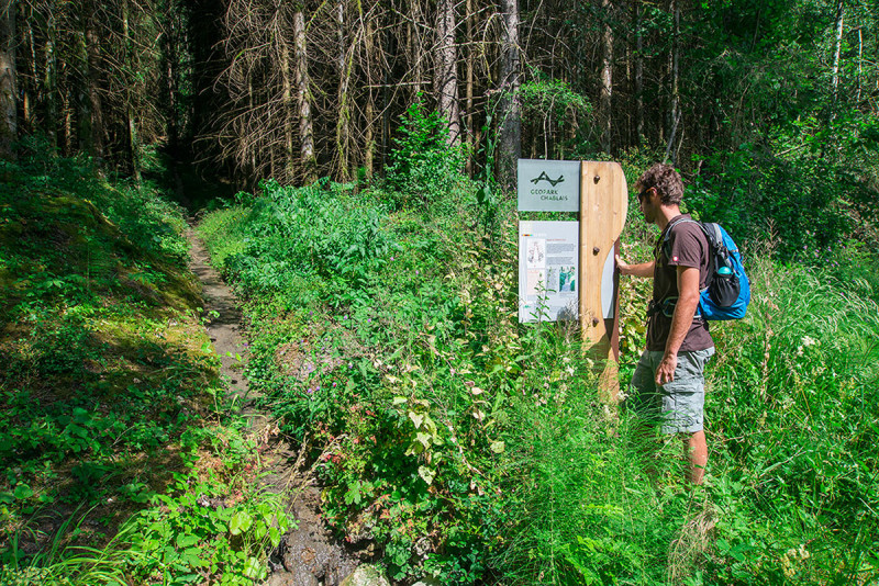 Géosite de la forêt ivre à Vailly Géosite de la forêt ivre à Vailly