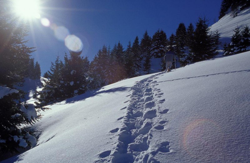 Randonnée raquettes Glappaz