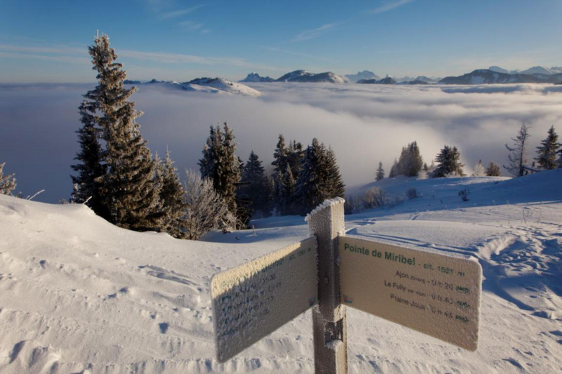 La Pointe de Miribel La Pointe de Miribel