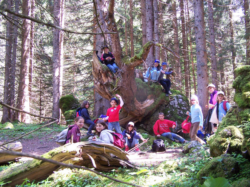 Vers la source du Brevon