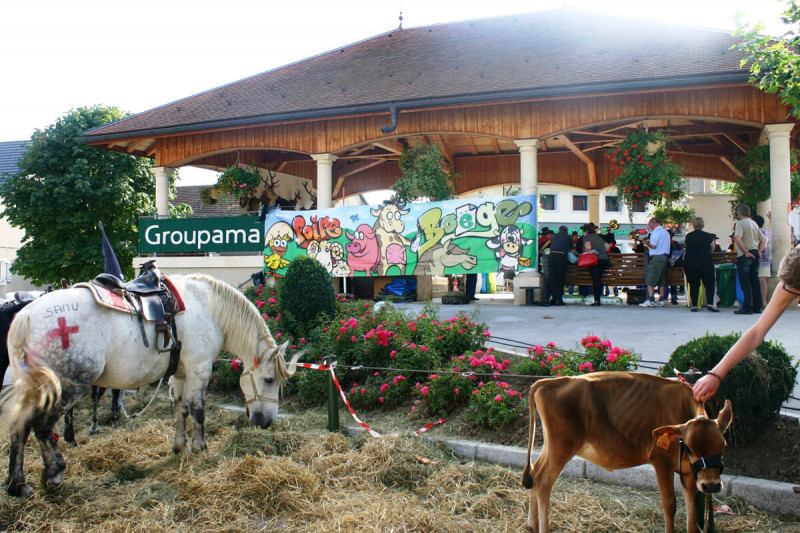 Foire de la St Maurice
