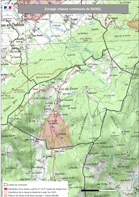 Chasse Saxel