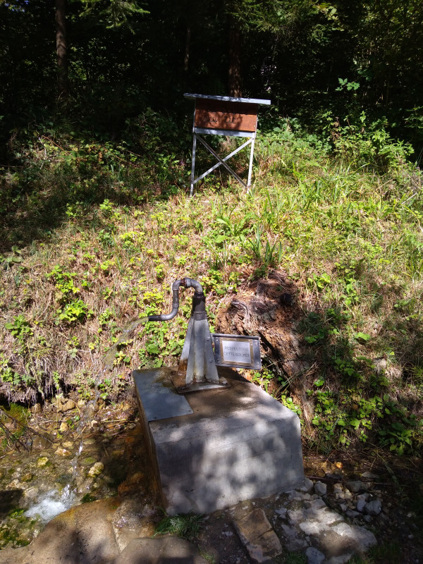 Balade Découverte Mont Vouan