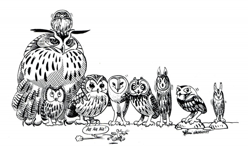 Association ADRET_Habère-Poche Association ADRET_Habère-Poche