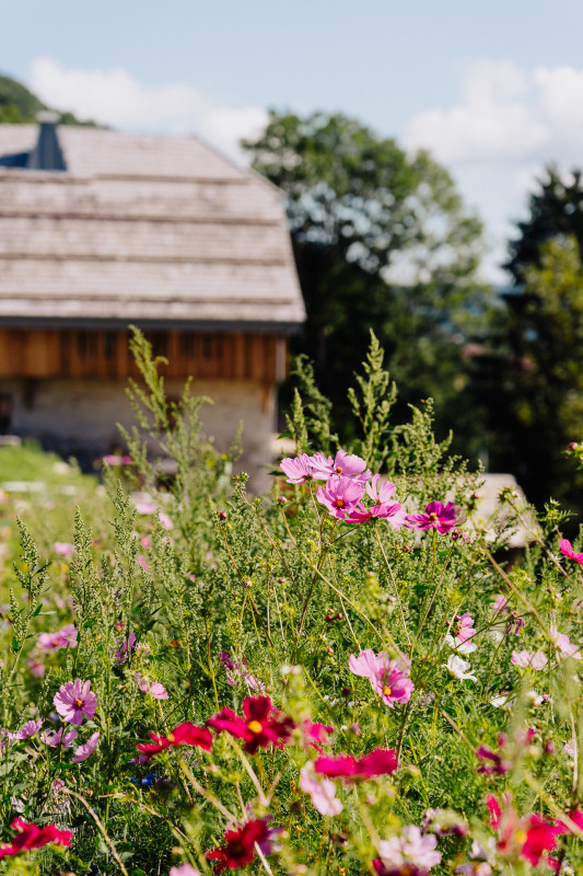 Forêt Ivre - Frédéric Molina_Vailly Forêt Ivre - Frédéric Molina_Vailly