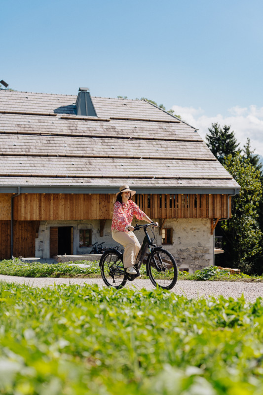 Forêt Ivre - Frédéric Molina_Vailly Forêt Ivre - Frédéric Molina_Vailly