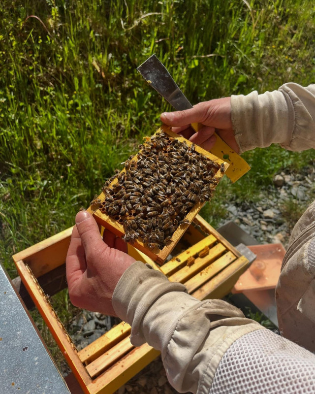 Miellerie des Zys_Bellevaux