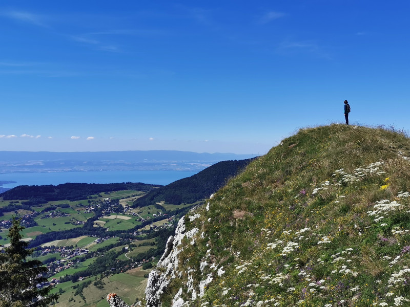 Crêtes d'Hirmentaz vue Lac Léman