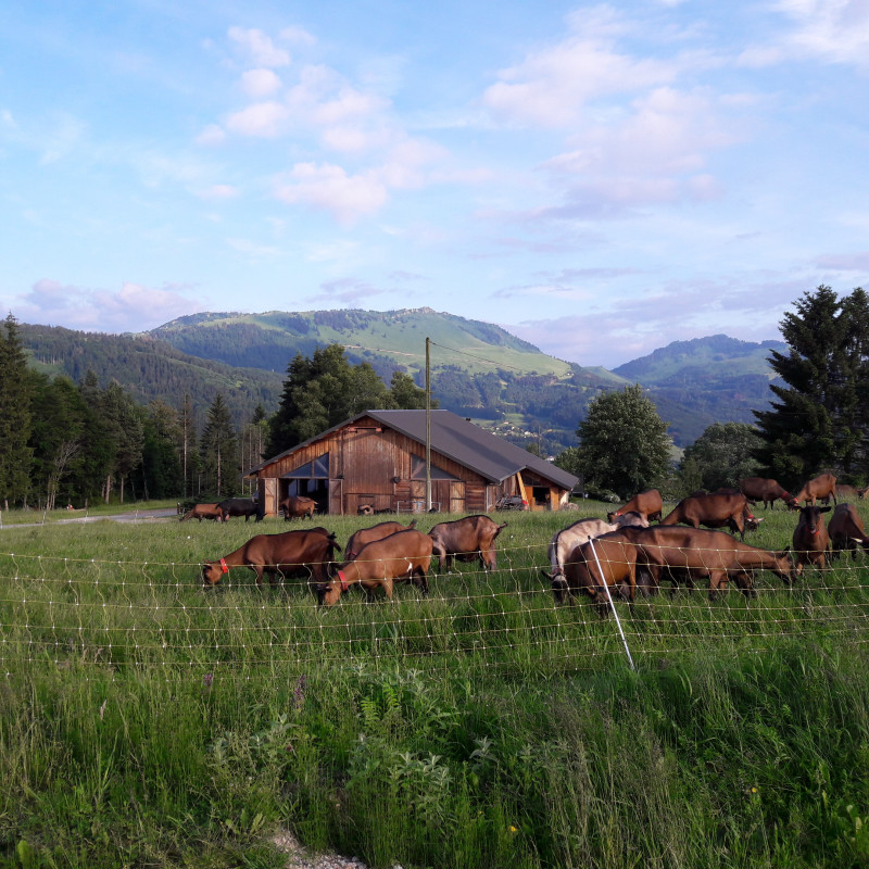 la_ferme_des_moises_habere_poche la_ferme_des_moises_habere_poche