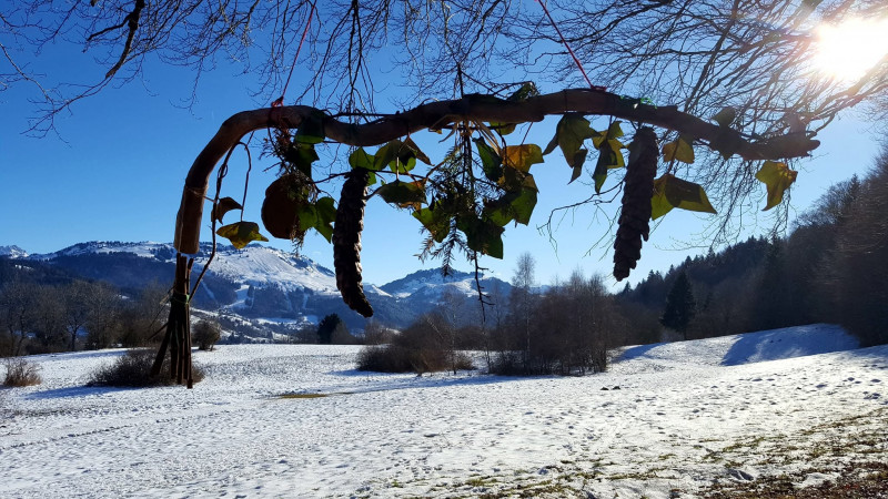 Christmas trail_Habère-Poche