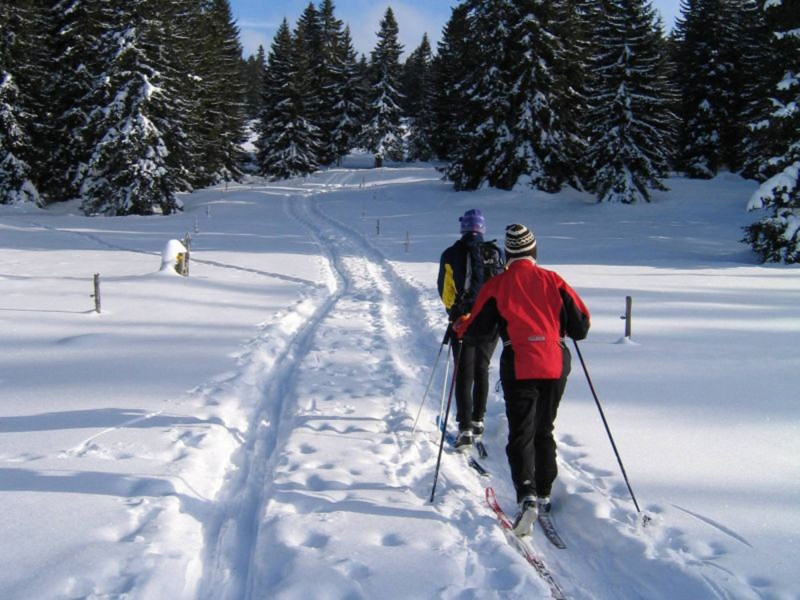 Col des Moises-Col du Feu Nordic Trek_Habère-Poche - © OT Alpes du Léman Col des Moises-Col du Feu Nordic Trek_Habère-Poche