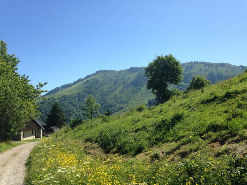 Randonnée Randonnée