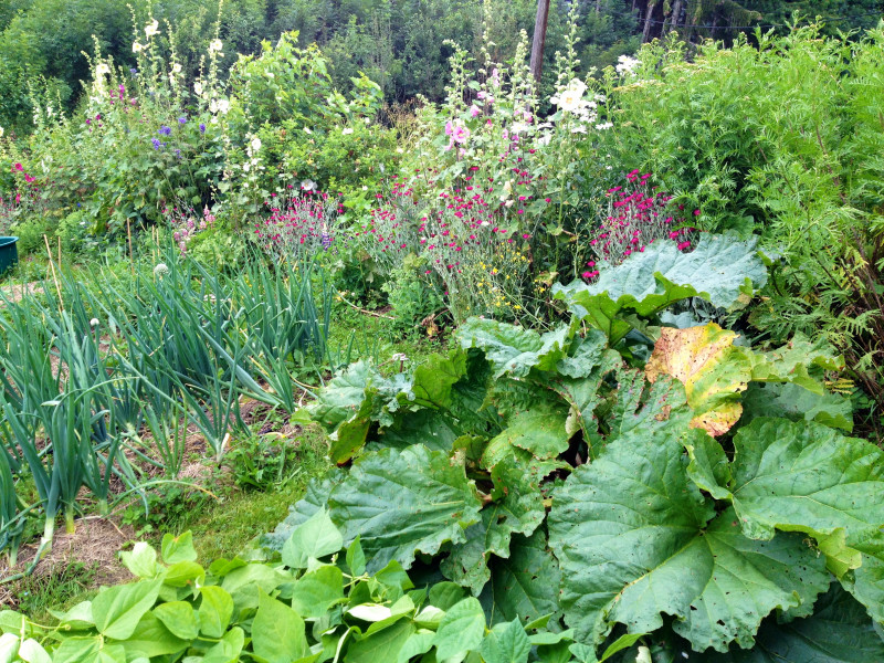 un_jardin_au_paradis_HabereLllin un_jardin_au_paradis_HabereLllin