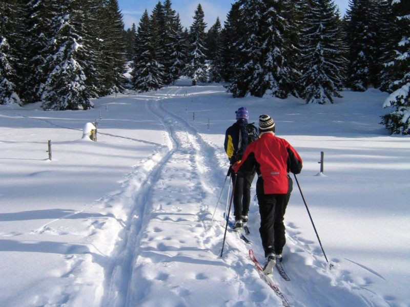 Itinéraire nordique Col des Moises-Col du Feu_Habère-Poche
