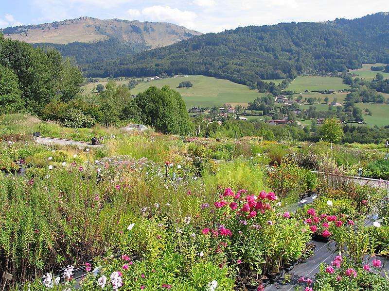 Pépinières Jardins de Montagne Habère-Lullin Vallée Verte