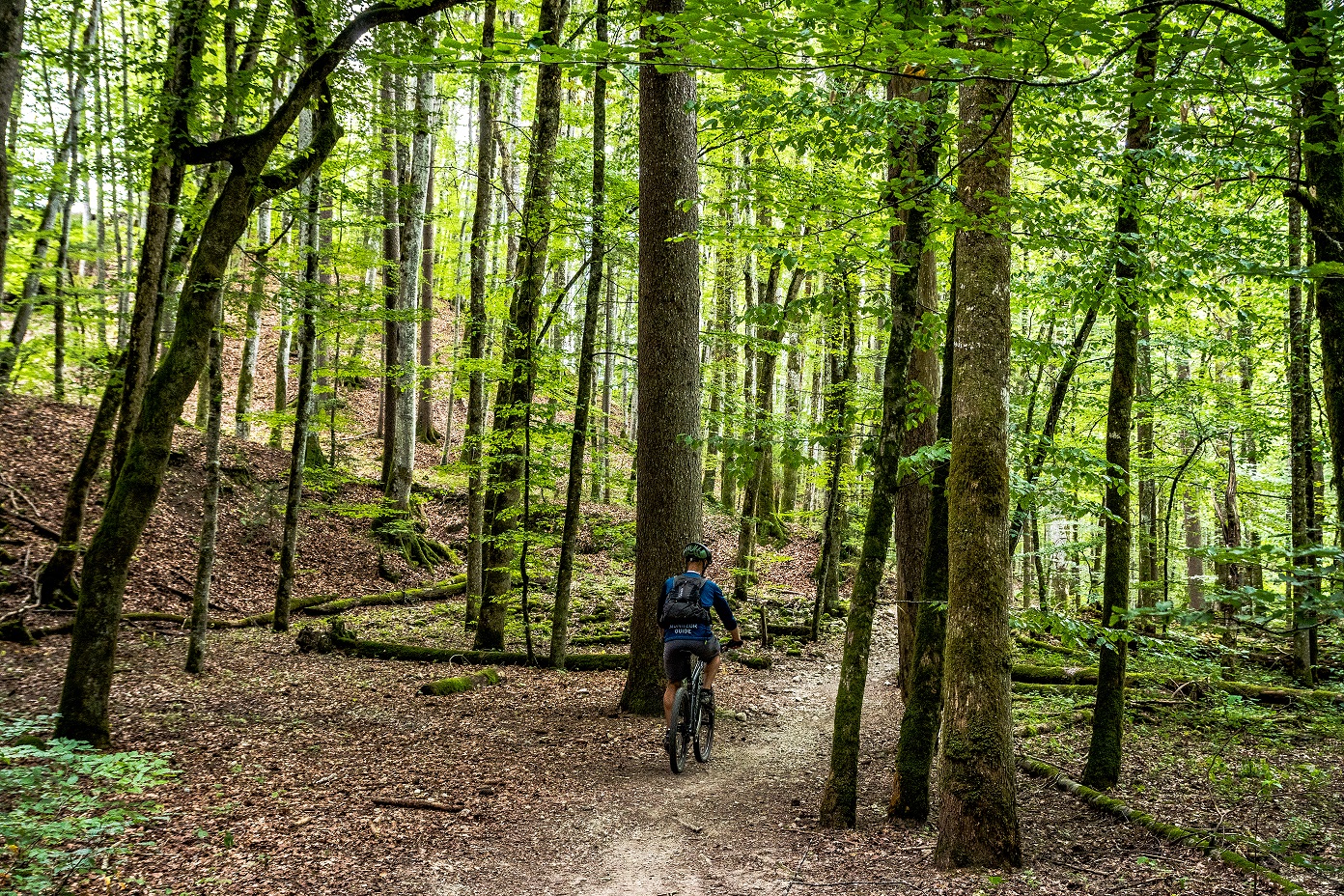 Descente de la Menoge en VTT - © Prépare ta valise