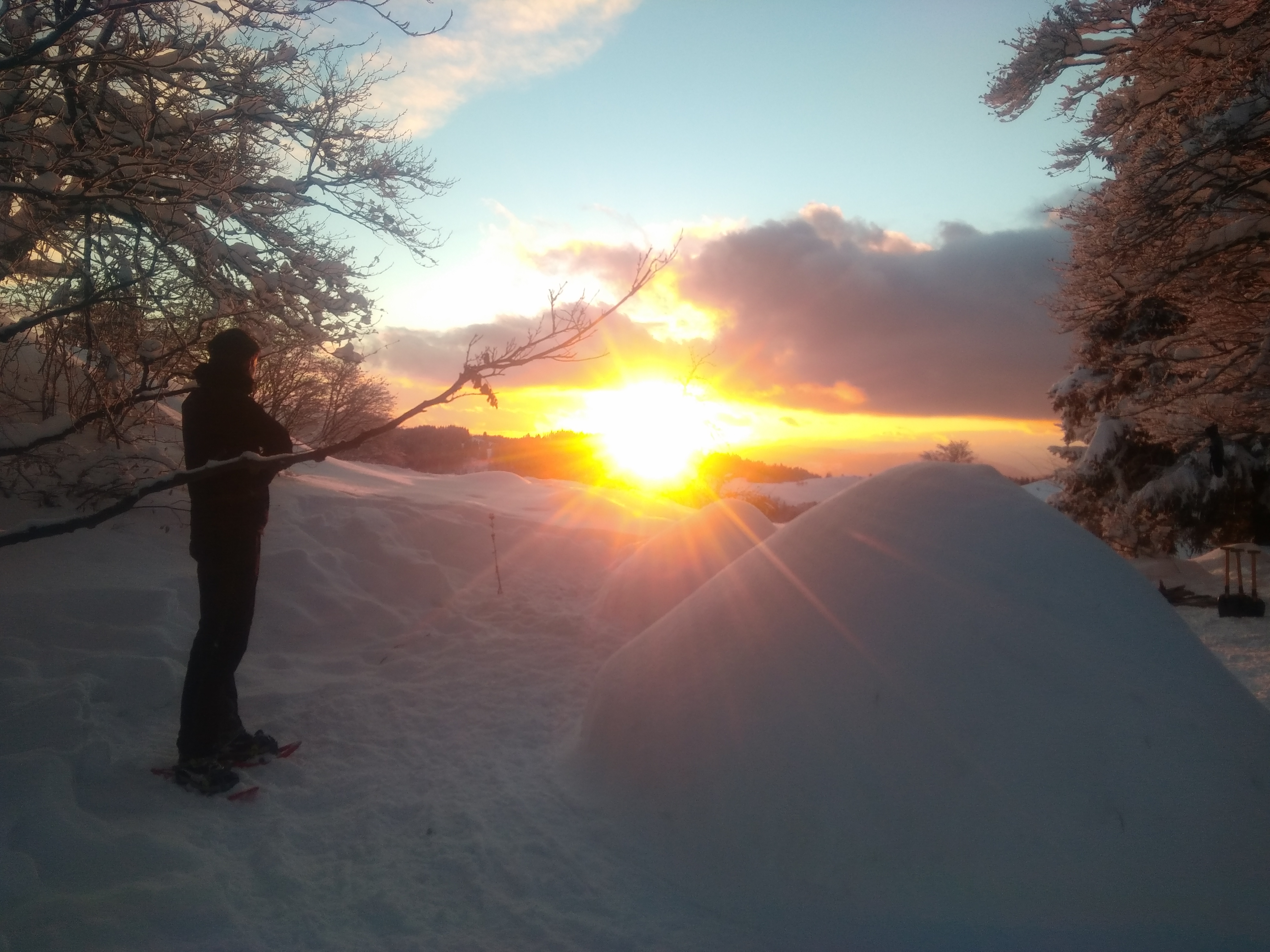 L'appel de la forêt - coucher de soleil - © OT Alpes du Léman