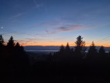 1000006735-62397