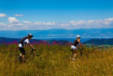 Descente des Moises jusqu'au lac Léman