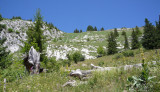 Rando naturaliste en montagne