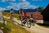 VTT dans les alpages