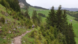 Les trails de la Vallée du Brevon