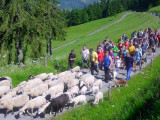 L'emmontagnée à Vailly_Vailly