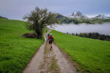 Les trails de la Vallée du Brevon