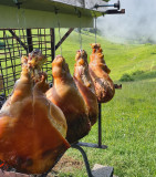 Très le Mont en Fête - cuisson des jambons pour le repas champêtre