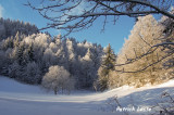 Balade gourmande