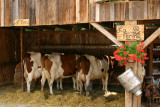 La Ferme-Fête des Vieux Métiers