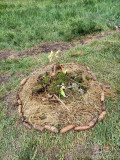 The fairy challenge - special for groups_Habère-Poche