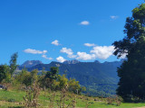 Vue des Alpages