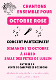 Concert Participatif et Solidaire_Lullin