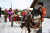 Distribution of dog sled papillottes_Vailly - © Hermones Animations Distribution of dog sled papillottes_Vailly
