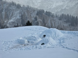 Bivouac igloo