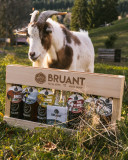 Visite de Brasserie_Burdignin