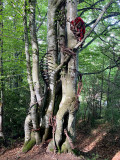 Le Diable - sculpture métal intégrée dans un arbre.