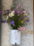 Bienvenue n-Fleurs des champs sur le  mur de la grange