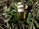 Formules et Potions