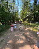 Cani balade sur le Plateau
