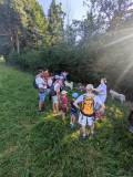 Cani randonnée sur le plateau
