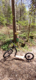 Footbike en forêt